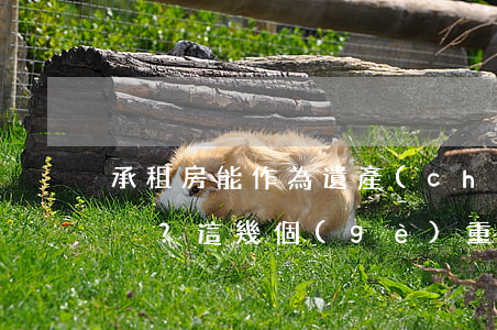 承租房能作為遺產(chǎn)繼承嗎？這幾個(gè)重要問題你必須了解